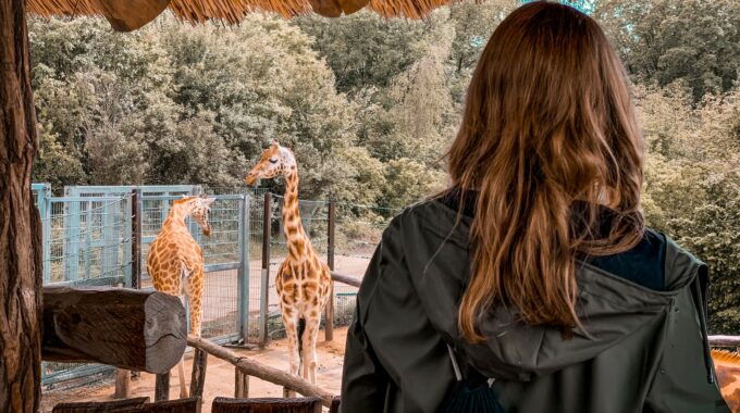 動物園デート